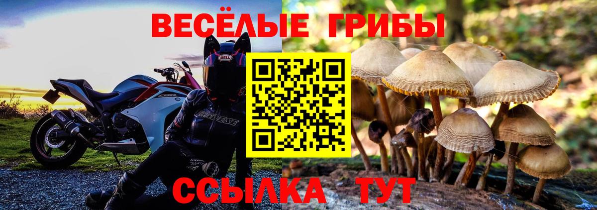Псилоцибиновые грибы Magic Shrooms Кстово