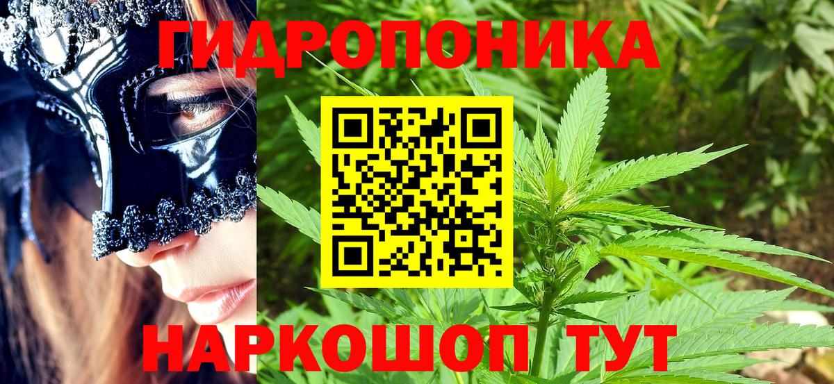 Марихуана Amnesia  Шишки марихуана SATIVA & INDICA  Кстово  Канабис Amnesia  Вход с VPN 